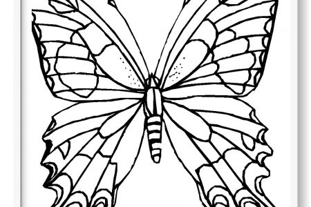 dibujos mariposas para colorear e imprimir