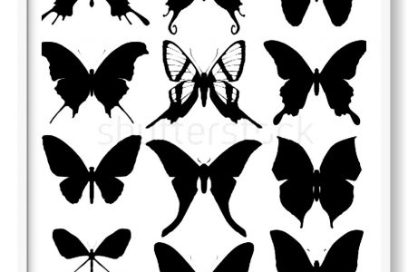 dibujos mariposas para colorear imprimir