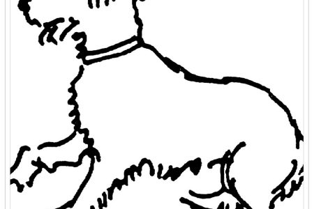 dibujos para colorear perros schnauzer