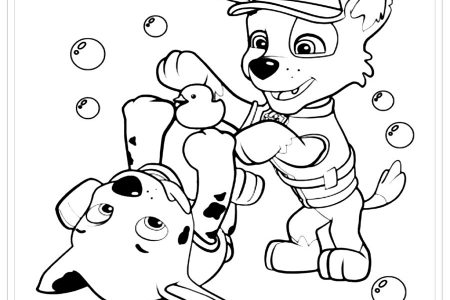 dibujos patrulla canina para colorear tamaño folio