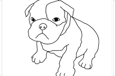 dibujos perros para colorear