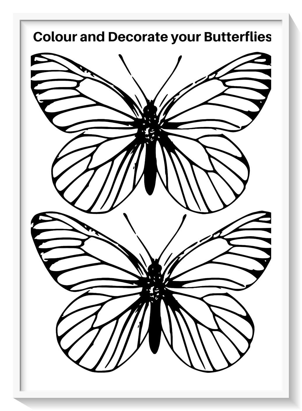 forma de mariposa para colorear
