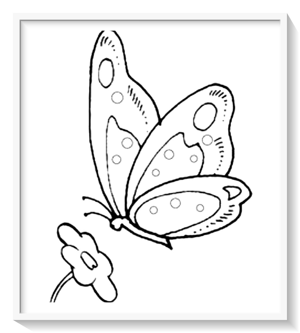 imagenes de mariposas para colorear bonitas