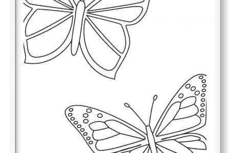 imagenes de mariposas para colorear grandes