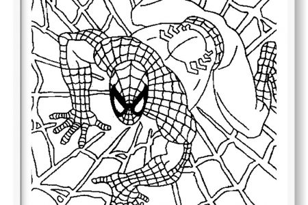 imagenes de spiderman para colorear