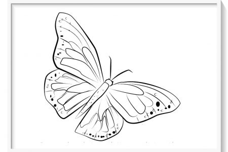 la mariposa monarca para colorear