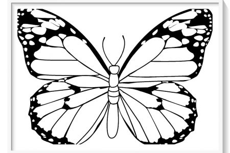 mariposa para colorear online