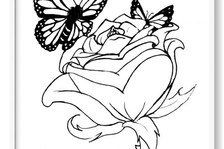 mariposas para colorear en pdf