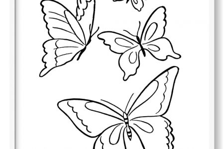 mariposas para colorear grandes y bonitas