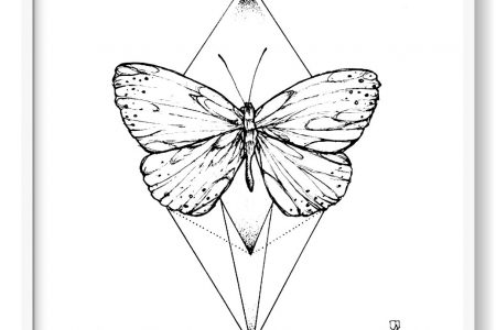 mariposas para colorear tamaño folio