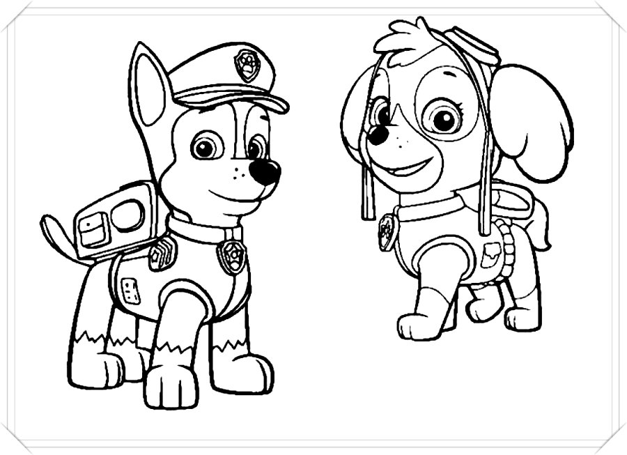patrulla canina dibujos animados