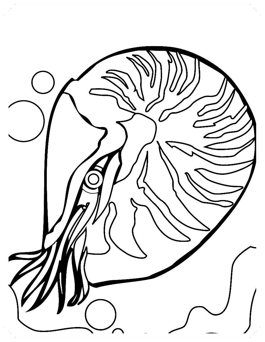 dibujos de peces niños - Dibujo imágenes - dibujos de peces niños dibujos de peces niños