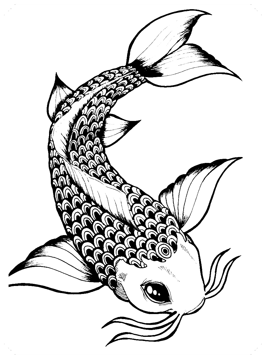 dibujos de pez martillo