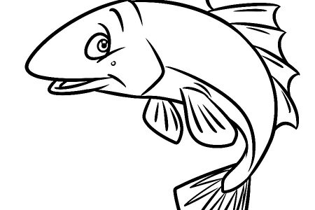 dibujos para colorear animales peces