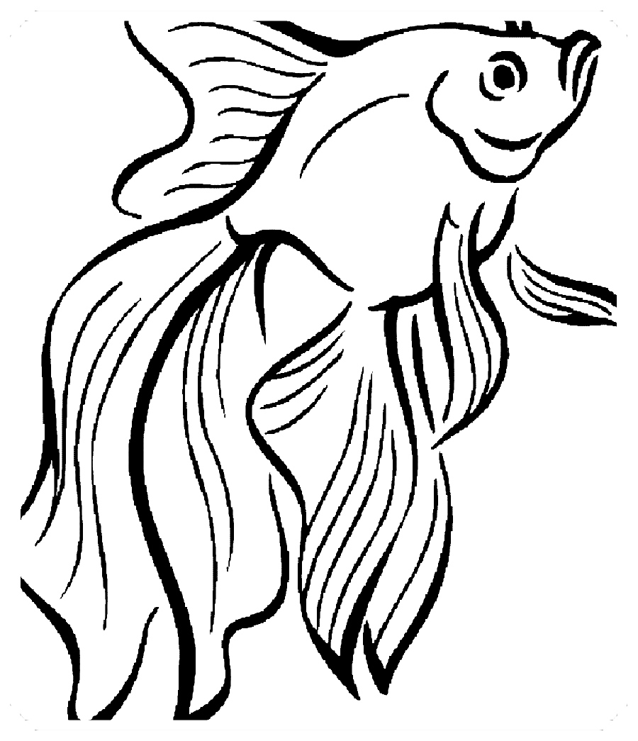 dibujos para colorear de peces y animales marinos