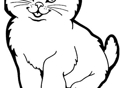 dibujos para colorear gatos