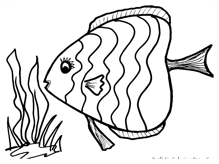 imagenes para colorear de peces