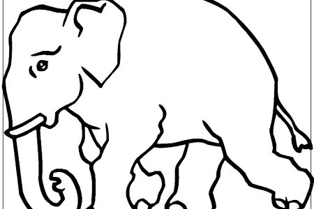 colorear elefante mandala
