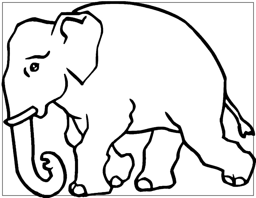colorear elefante mandala