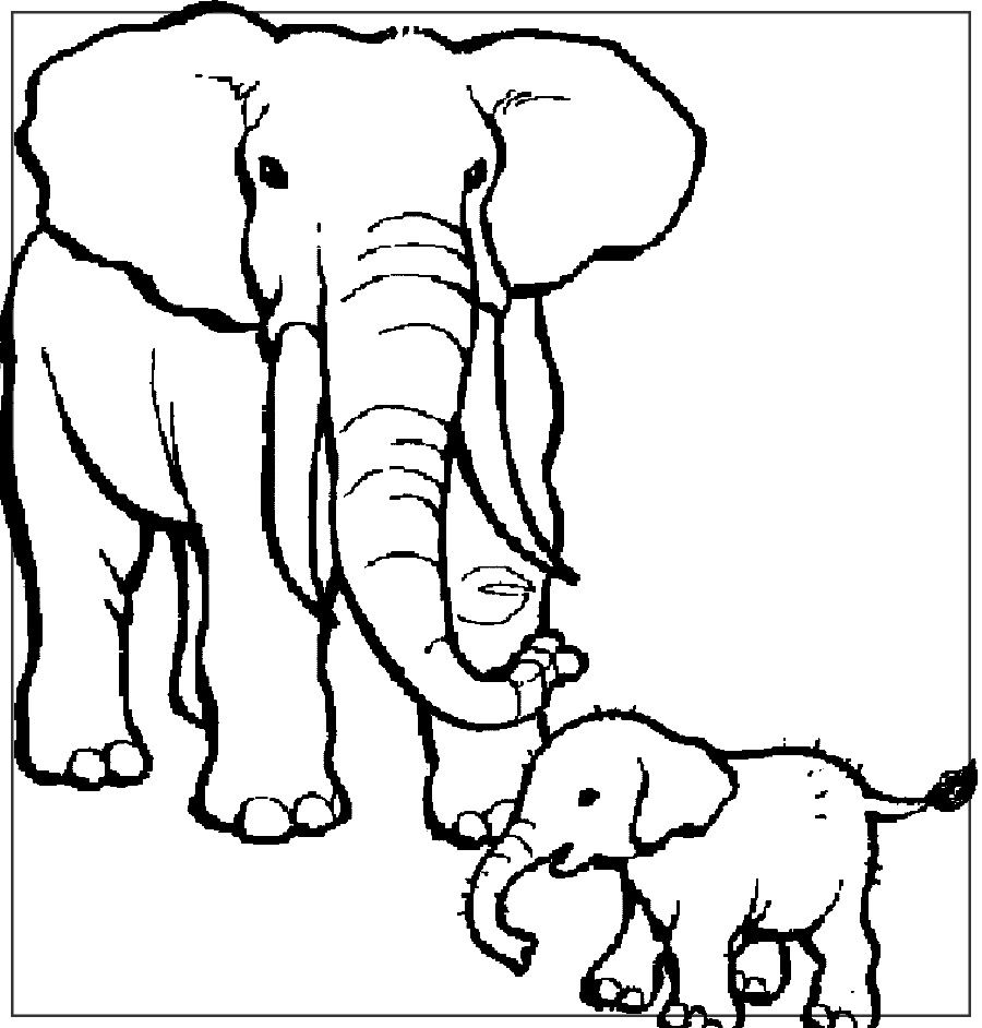 dibujos para colorear de elefantes