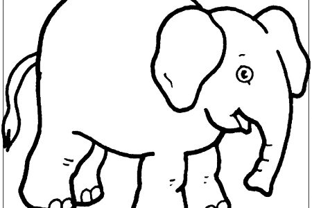 imagen para colorear elefantes