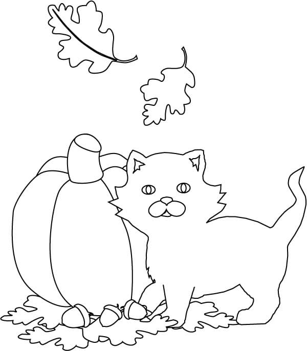 Dibujos de Gato en Halloween para Colorear