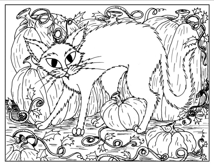Dibujos de Gato en Halloween para Colorear