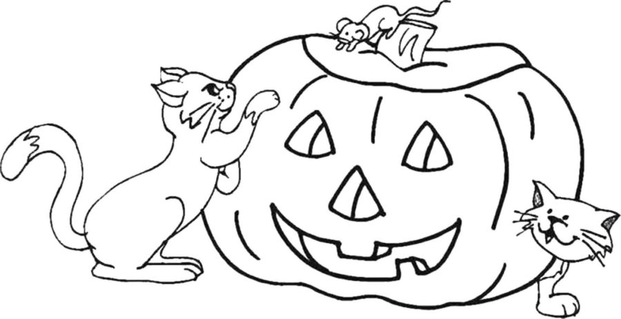 Dibujos de Gato en Halloween para Colorear