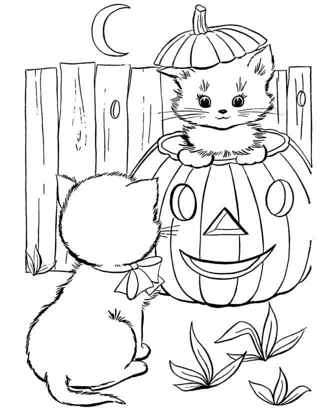 Dibujos de Gato en Halloween para Colorear