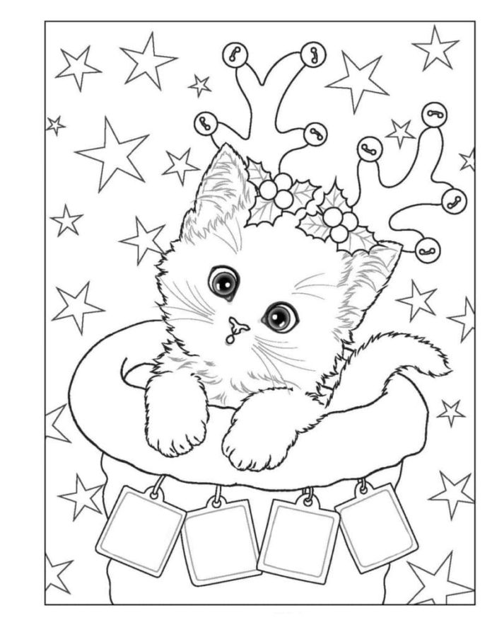 50 dibujos de "Gatos de Navidad" para Colorear - Dibujo imágenes - 1665157190 273 Dibujos de Gato de Navidad para Colorear Dibujos de Gato de Navidad para Colorear