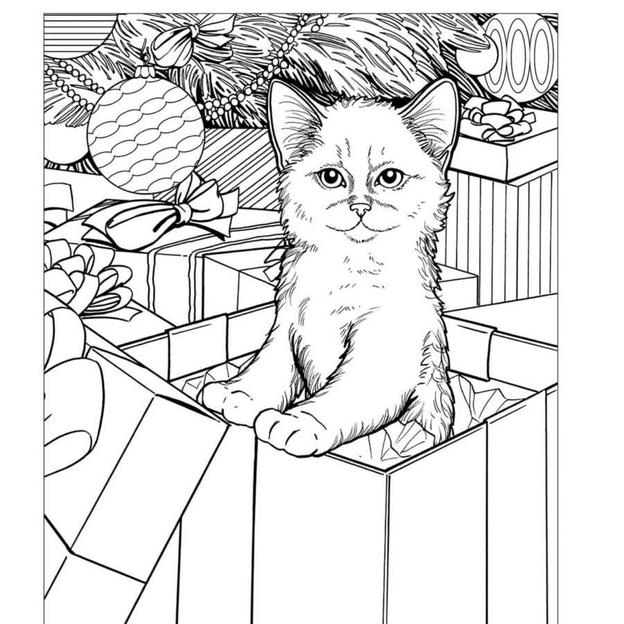 50 dibujos de "Gatos de Navidad" para Colorear - Dibujo imágenes - 1665157192 96 Dibujos de Gato de Navidad para Colorear Dibujos de Gato de Navidad para Colorear