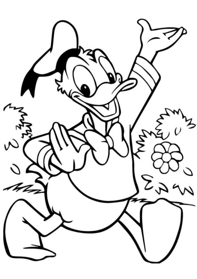 Dibujos de Pato Donald para Colorear