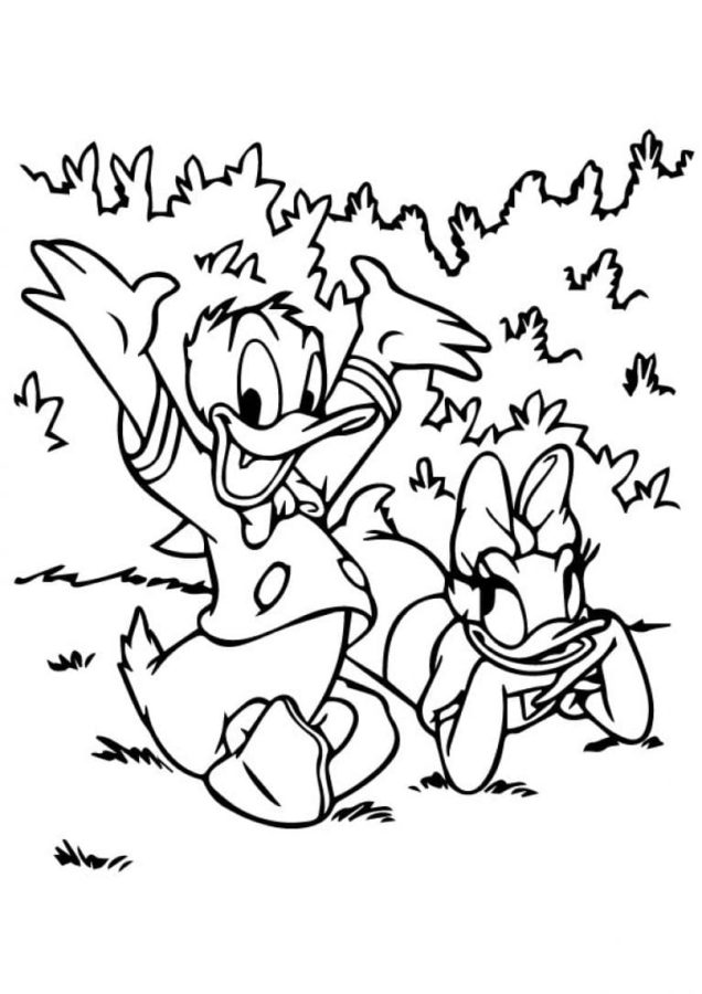 Dibujos de Pato Donald para Colorear