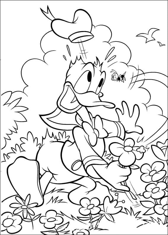Dibujos de Pato Donald para Colorear
