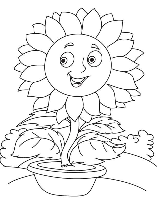 1665165538 353 Dibujos de Girasol para Colorear 8211 100 imagenes para imprimir - Dibujo imágenes - 1665165538 353 Dibujos de Girasol para Colorear 8211 100 imagenes para imprimir 1665165538 353 Dibujos de Girasol para Colorear 8211 100 imagenes para imprimir