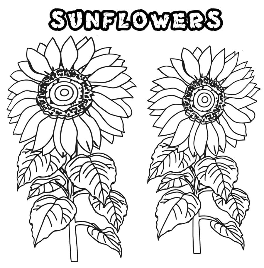 1665165540 909 Dibujos de Girasol para Colorear 8211 100 imagenes para imprimir - Dibujo imágenes - 1665165540 909 Dibujos de Girasol para Colorear 8211 100 imagenes para imprimir 1665165540 909 Dibujos de Girasol para Colorear 8211 100 imagenes para imprimir