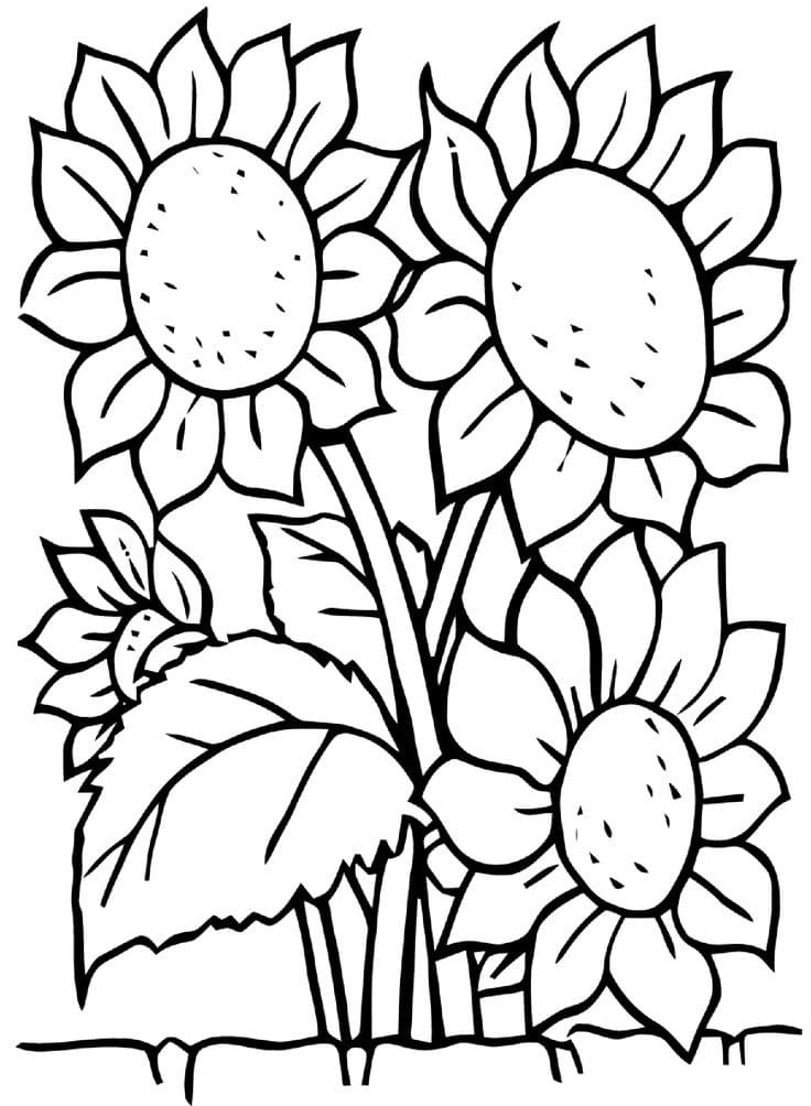 1665165559 116 Dibujos de Girasol para Colorear 8211 100 imagenes para imprimir - Dibujo imágenes - 1665165559 116 Dibujos de Girasol para Colorear 8211 100 imagenes para imprimir 1665165559 116 Dibujos de Girasol para Colorear 8211 100 imagenes para imprimir