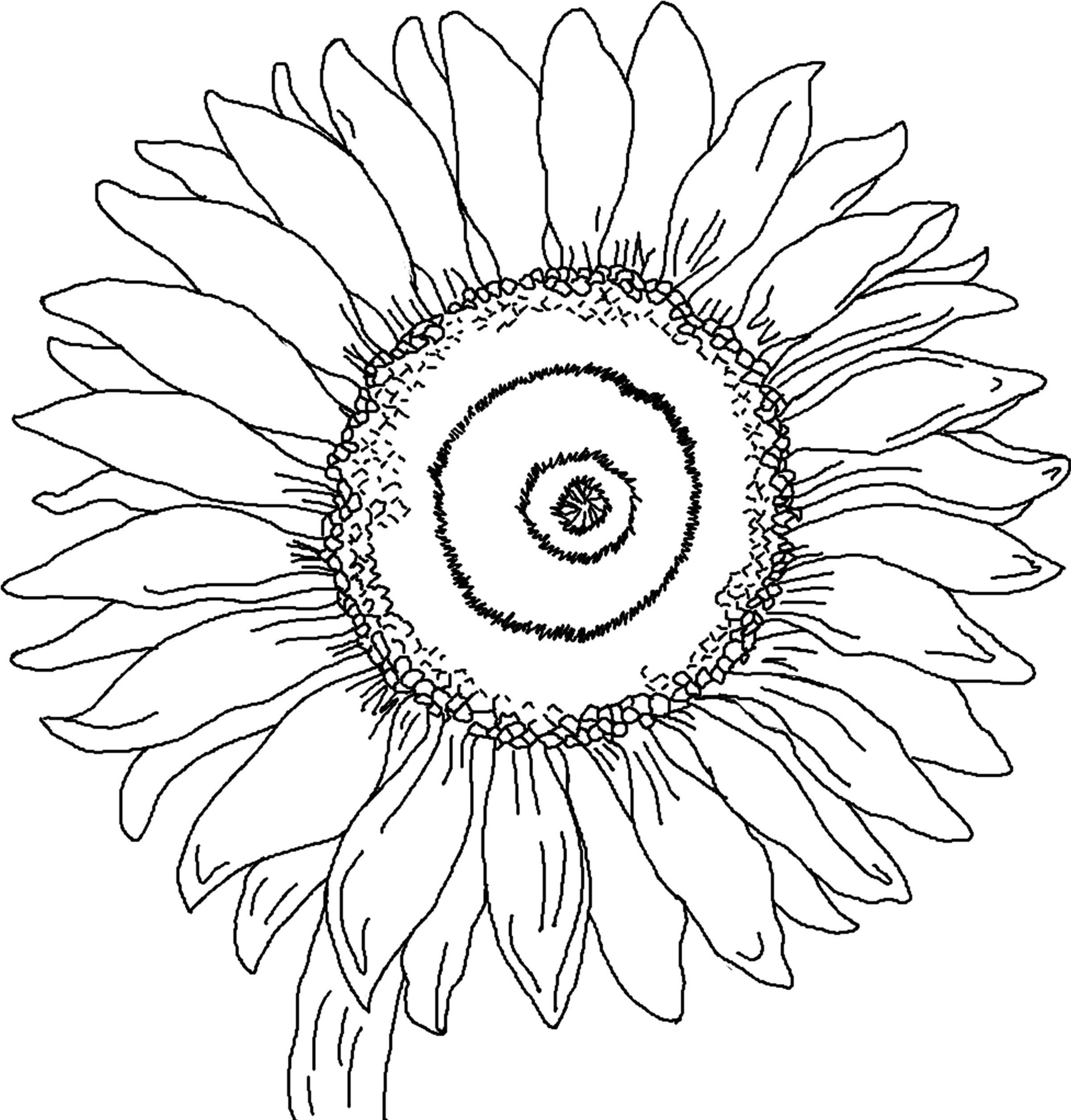 1665165559 737 Dibujos de Girasol para Colorear 8211 100 imagenes para imprimir - Dibujo imágenes - 1665165559 737 Dibujos de Girasol para Colorear 8211 100 imagenes para imprimir 1665165559 737 Dibujos de Girasol para Colorear 8211 100 imagenes para imprimir