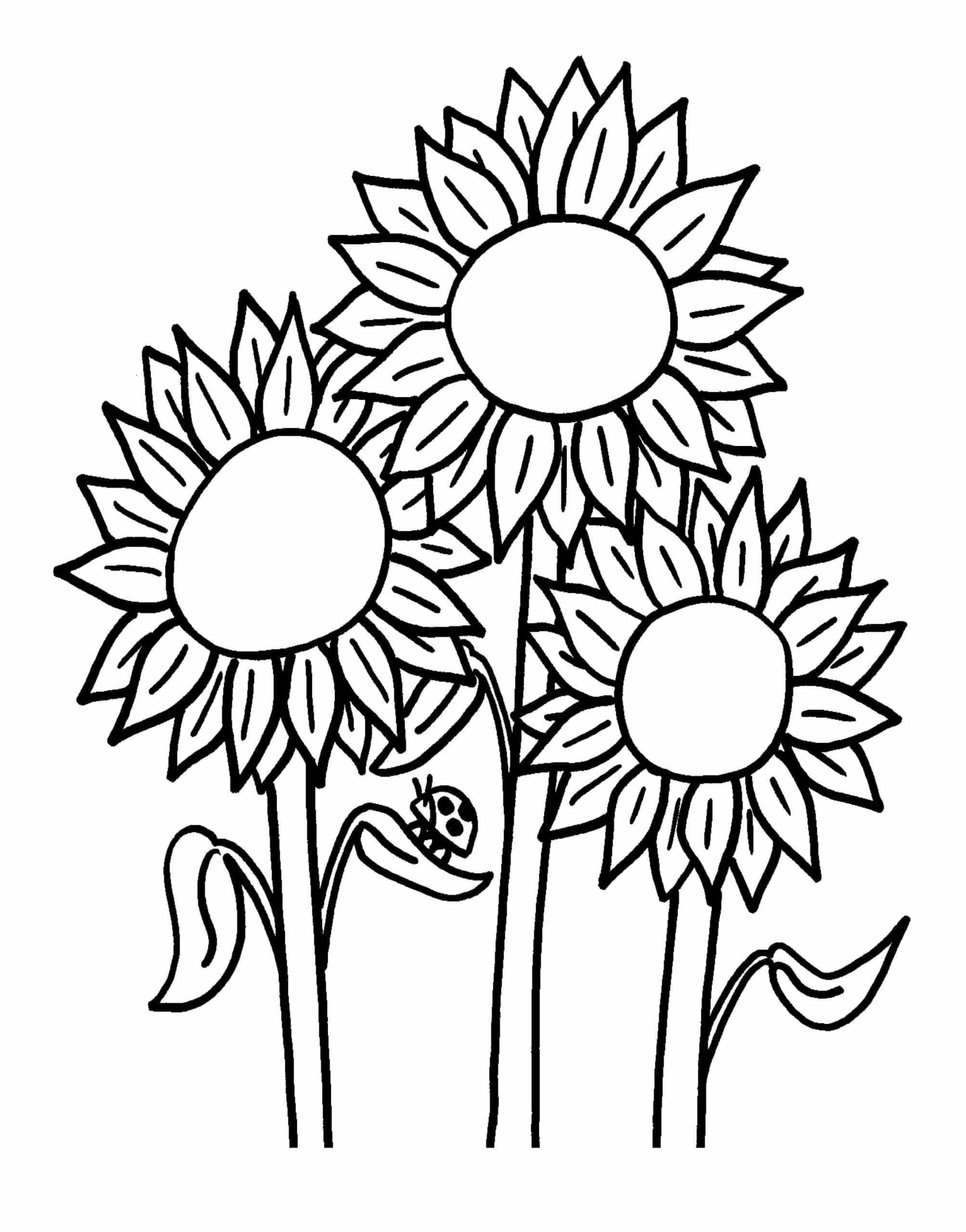1665165563 829 Dibujos de Girasol para Colorear 8211 100 imagenes para imprimir - Dibujo imágenes - 1665165563 829 Dibujos de Girasol para Colorear 8211 100 imagenes para imprimir scaled 1665165563 829 Dibujos de Girasol para Colorear 8211 100 imagenes para imprimir