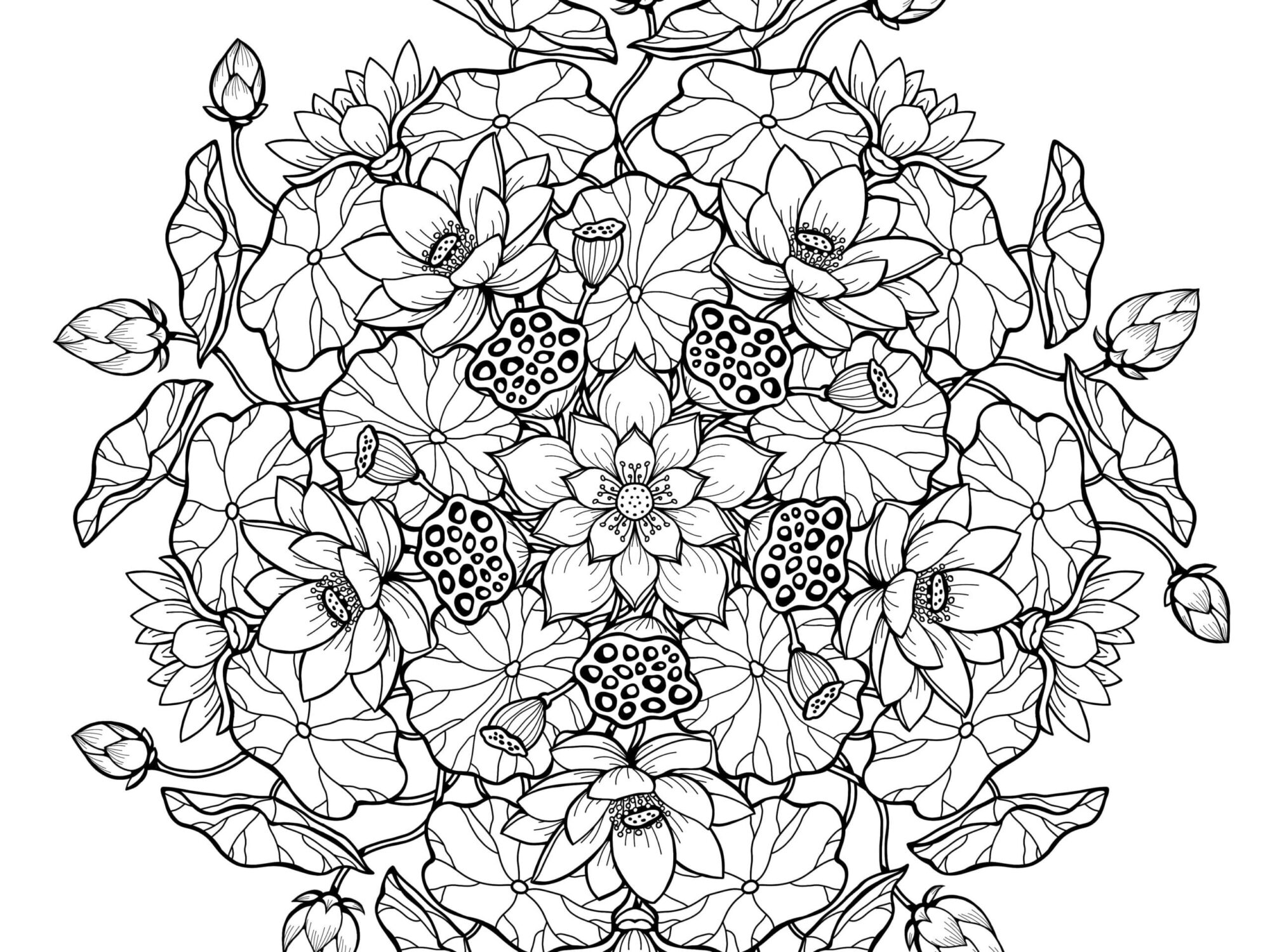 1665166674 160 Dibujos de Flores para Colorear para Adultos 8211 100 imagenes