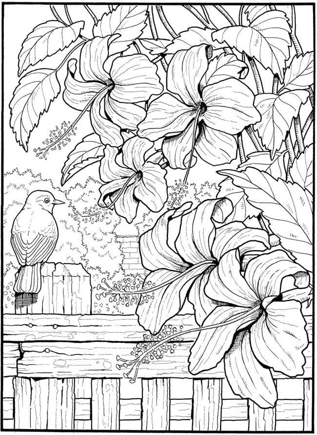 1665166687 197 Dibujos de Flores para Colorear para Adultos 8211 100 imagenes - Dibujo imágenes - 1665166687 197 Dibujos de Flores para Colorear para Adultos 8211 100 imagenes 1665166687 197 Dibujos de Flores para Colorear para Adultos 8211 100 imagenes