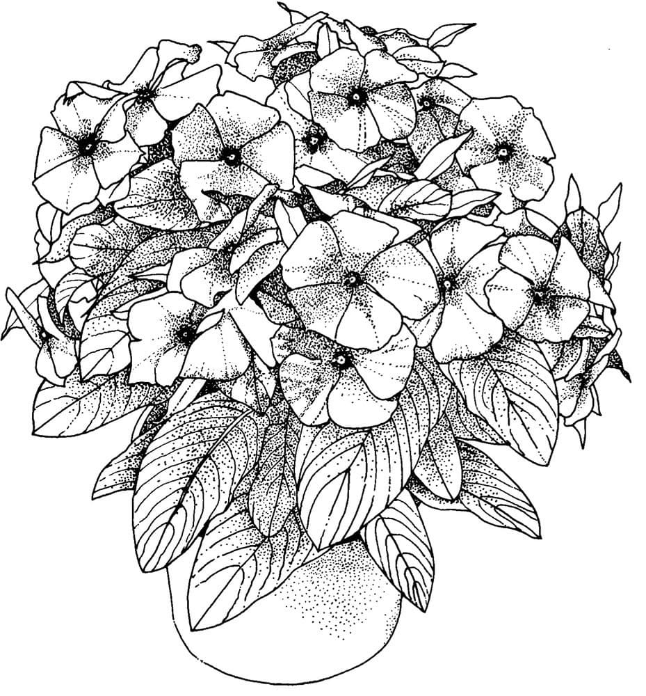 1665166689 533 Dibujos de Flores para Colorear para Adultos 8211 100 imagenes