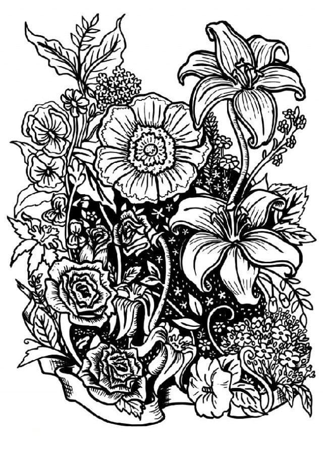 1665166696 739 Dibujos de Flores para Colorear para Adultos 8211 100 imagenes - Dibujo imágenes - 1665166696 739 Dibujos de Flores para Colorear para Adultos 8211 100 imagenes 1665166696 739 Dibujos de Flores para Colorear para Adultos 8211 100 imagenes