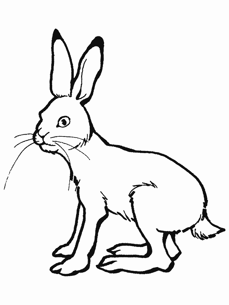 pintar conejo grande